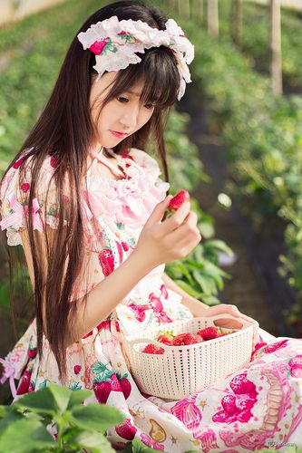 葵司qvod