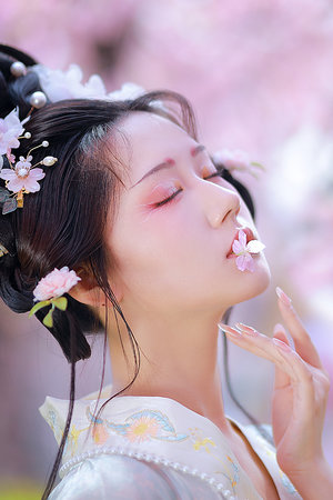 老夫子星空免费观看高清